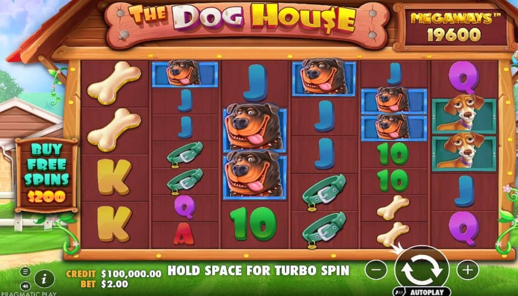 Pesta Anjing Ceria Bikin Betah Main di The Dog House Megaways