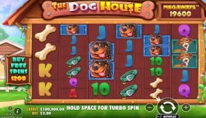 The Dog House Megaways Keseruan Dunia Anjing Super Ceria