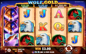 Wolf Gold Sensasi Alam Liar yang Bikin Deg Degan Terus